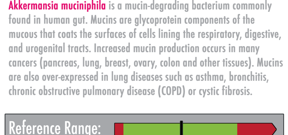 Akkermansia muciniphila high low meaning treatment gut biome
