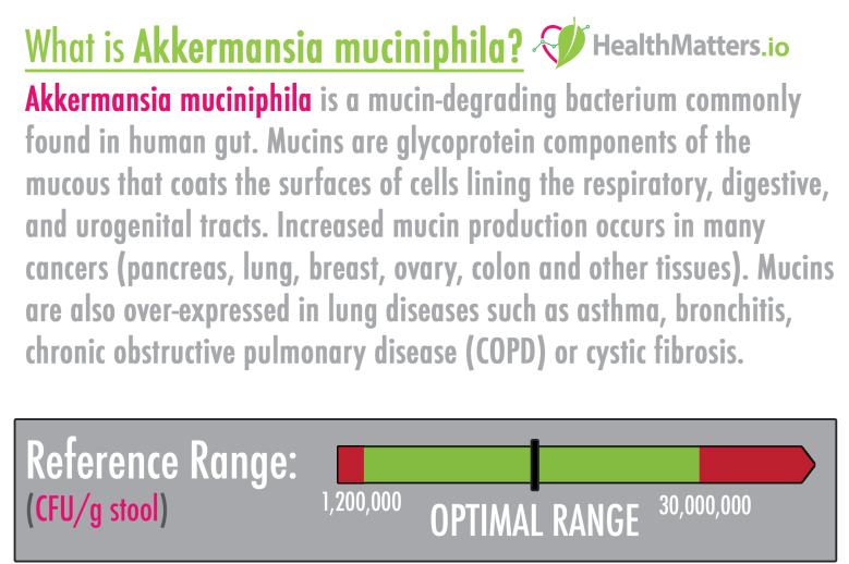 Akkermansia muciniphila high low meaning treatment gut biome