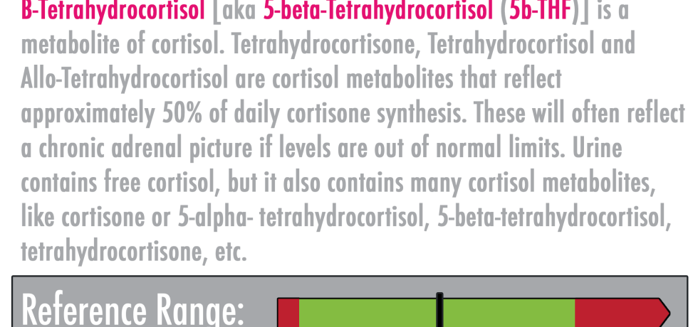 b-Tetrahydrocortisol (b-THF) cortisol metabolite dutch dried urine interpretation high low meaning treatment free cortisol metabolized cortisol healthmatters.io