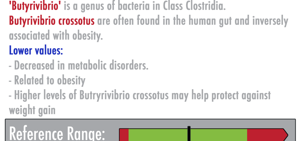 Butyrivibrio crossotus gut stool high levels meaning treatment obesity ubiome genova gdx healthmatters.io
