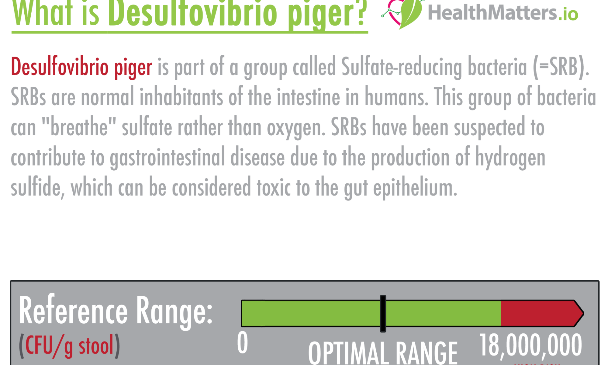 Desulfovibrio piger high levels meaning treatment sulfate-reducing bacteria