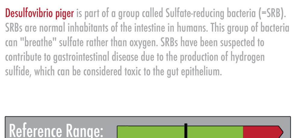 Desulfovibrio piger high levels meaning treatment sulfate-reducing bacteria