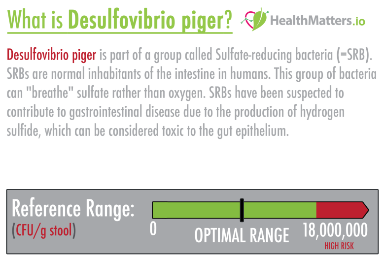 Desulfovibrio piger high levels meaning treatment sulfate-reducing bacteria