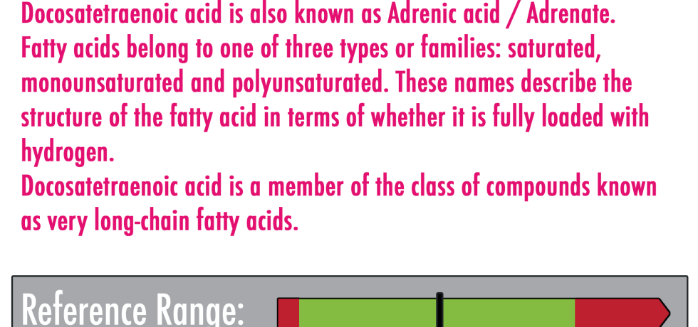 Docosatetraenoic acid high low meaning treatment symptoms diet genova test results laboratory plasma pdf interpretive interpretation evidence research