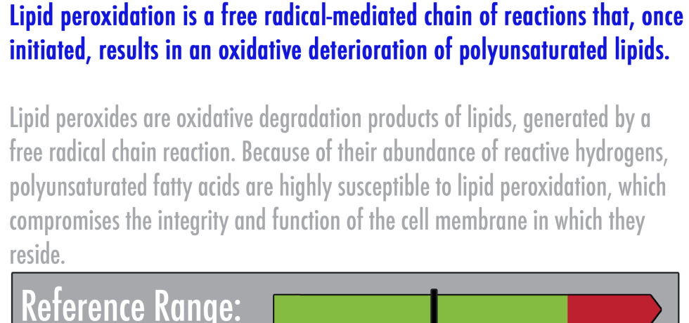 lipid peroxides high meaning treatment oxidative stress free radical laboratory results evaluation interpretation pdf interpretive genova gdx