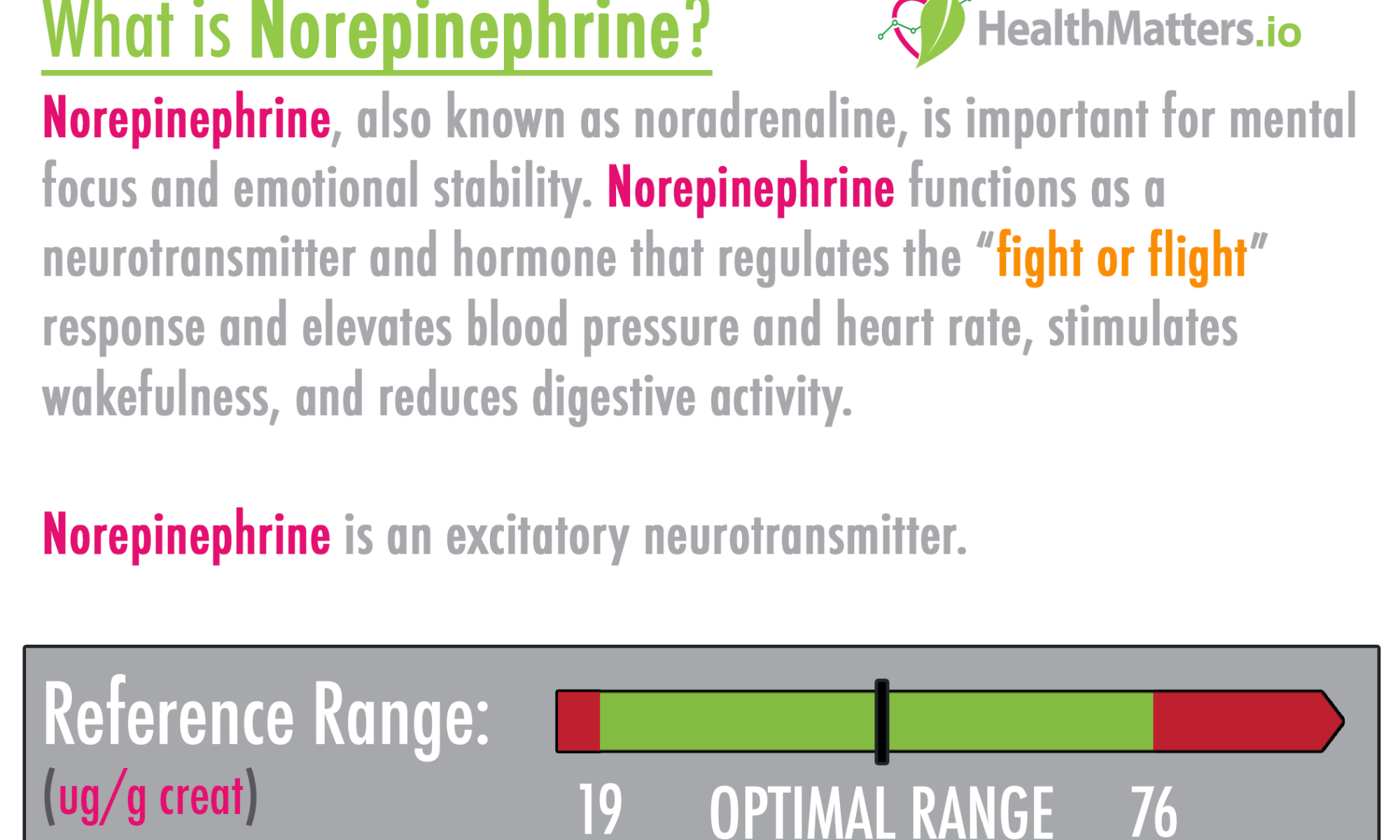 Norepinephrine neurotransmitter high low meaning treatment symptoms interpretive lab results