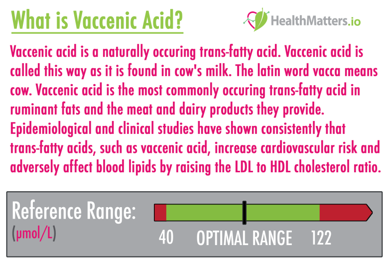 vaccenic acid high low meaning treatment milk dairy ldl hdl cholesterol