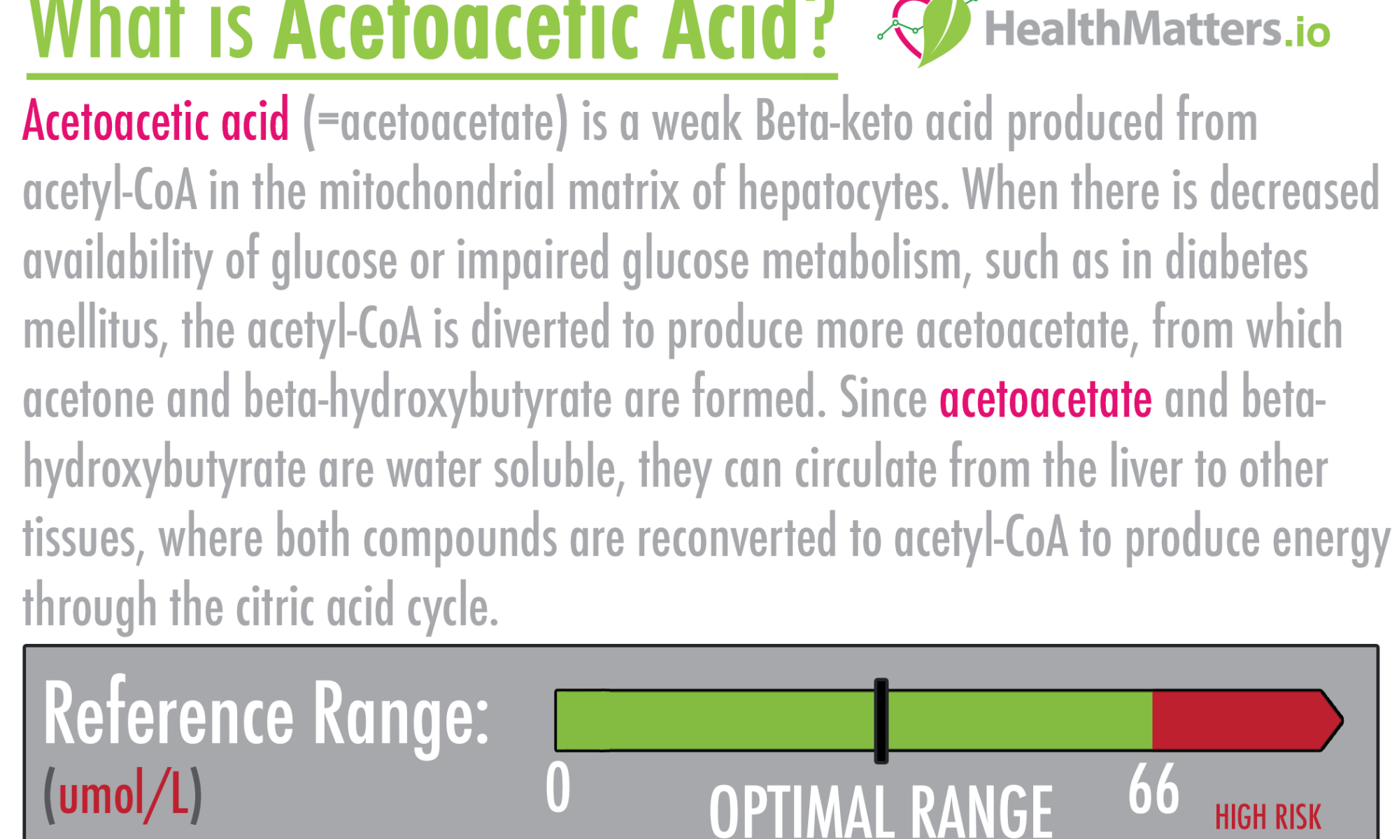 Acetoacetic Acid ketones high low meaning treatment symptoms