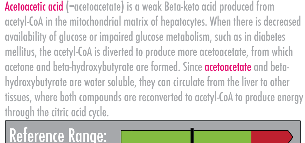 Acetoacetic Acid ketones high low meaning treatment symptoms