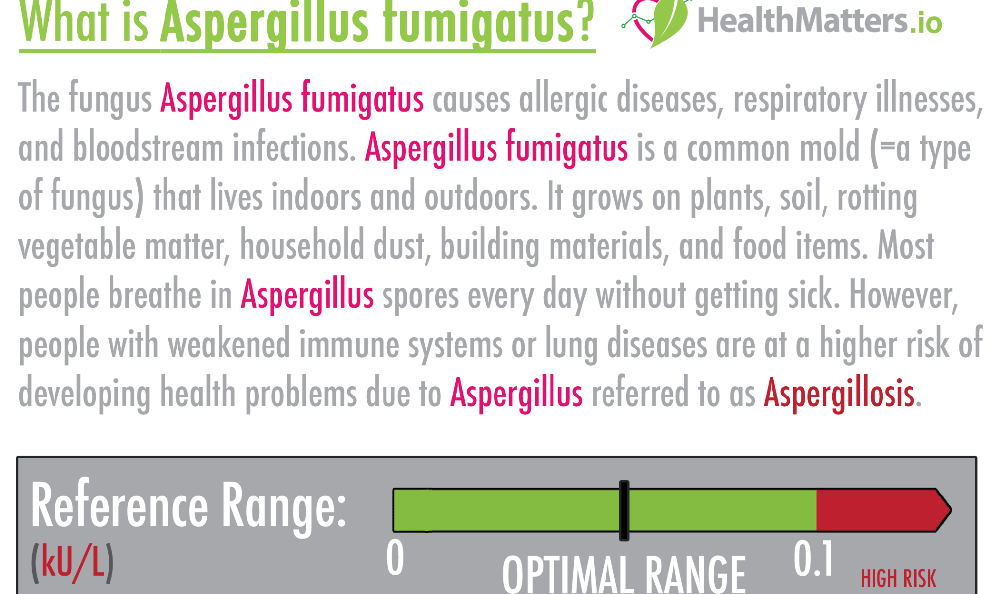 Aspergillus fumigatus high meaning treatment symptoms