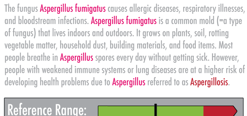 Aspergillus fumigatus high meaning treatment symptoms