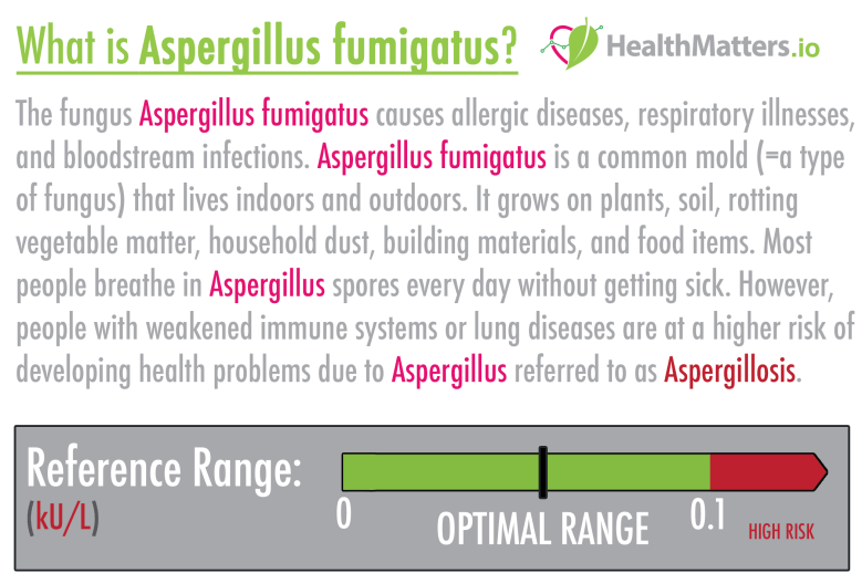 Aspergillus fumigatus high meaning treatment symptoms