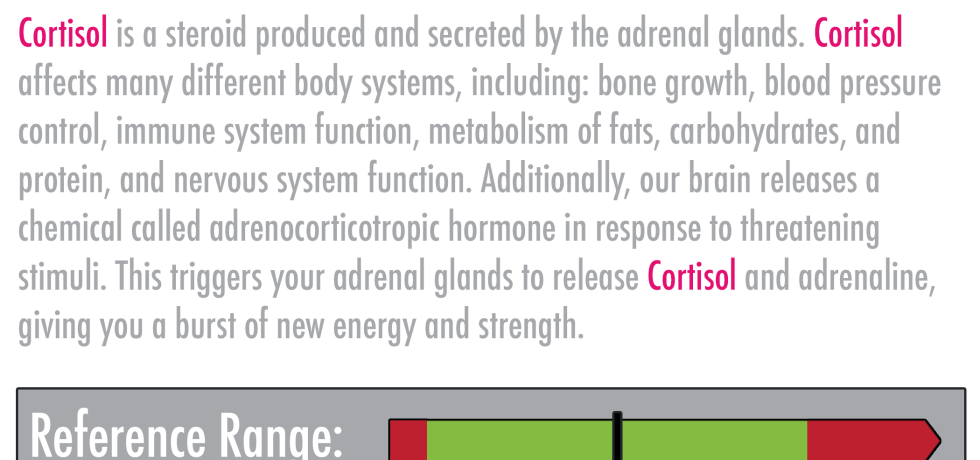 what is cortisol high low meaning symptoms treatment steroid HPA axis