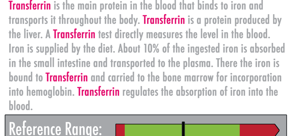 Transferrin high low meaning treatment symptoms TIBC iron binding capacity anemia