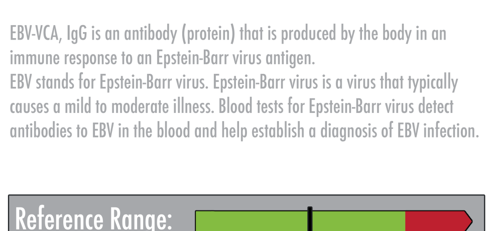 EBV-VCA, IgG EBV-VCA, IgG is an antibody (protein) that is produced by the body in an immune response to an Epstein-Barr virus antigen. EBV stands for Epstein-Barr virus. Epstein-Barr virus is a virus that typically causes a mild to moderate illness. Blood tests for Epstein-Barr virus detect antibodies to EBV in the blood and help establish a diagnosis of EBV infection.