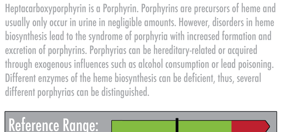 Heptacarboxyporphyrin high low meaning treatment symptoms