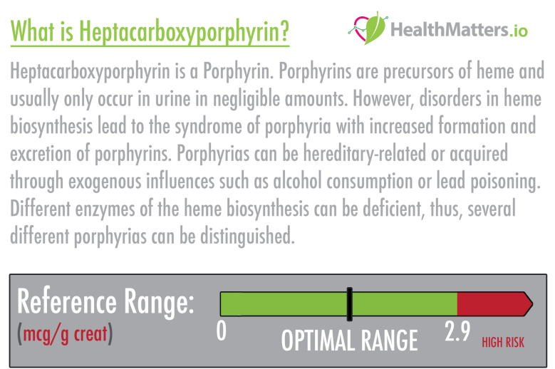 Heptacarboxyporphyrin high low meaning treatment symptoms