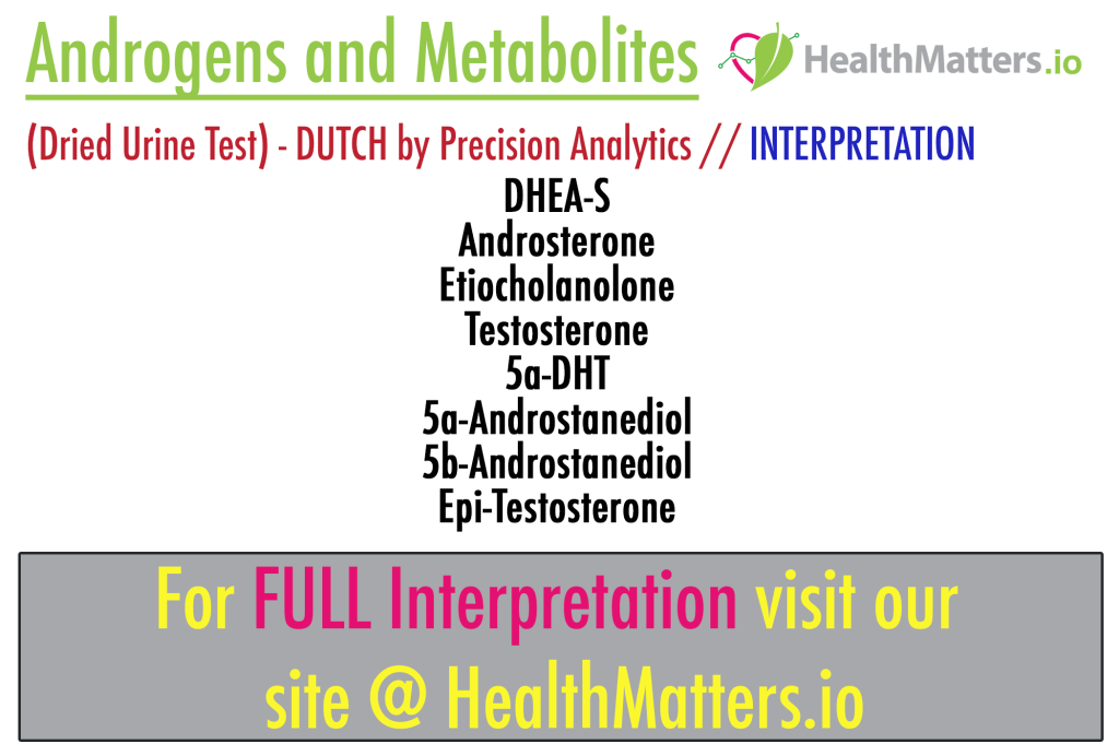 Androgens and Metabolites (Urine) DUTCH — Interpretation of DUTCH