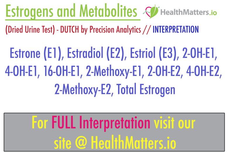 estrogens metabolites estrone estradiol estril 2-oh-e1 2-methoy-e1